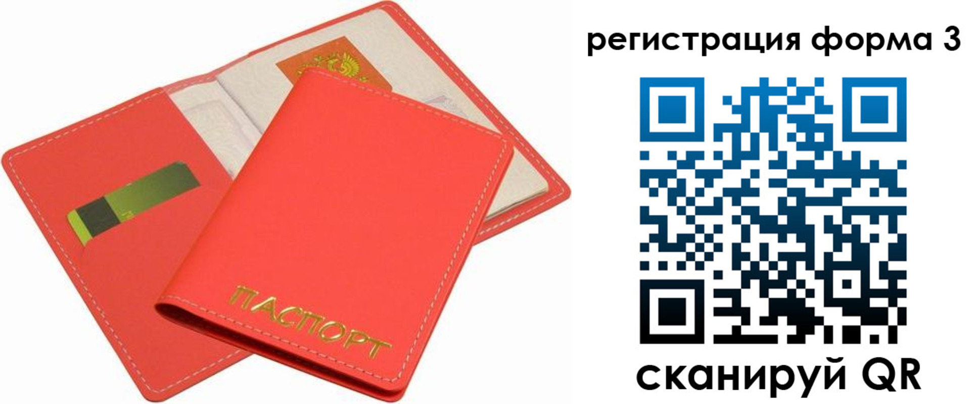 прописка для школы в Всеволожске